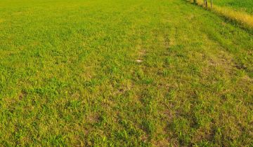 Działka budowlana Kryg