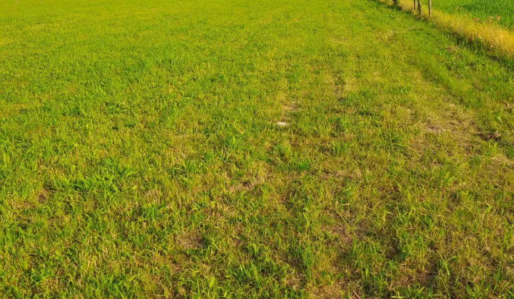 Działka budowlana Kryg