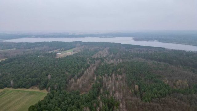 Działka rolna Daniszewice. Zdjęcie 1