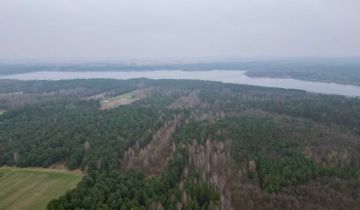 Działka rolna Daniszewice