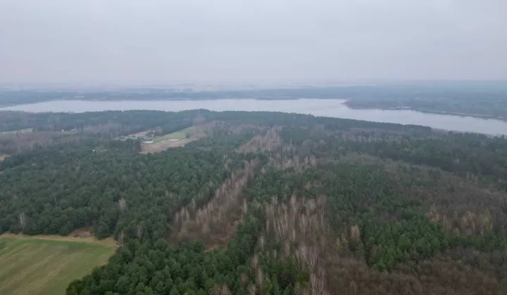 Działka rolna Daniszewice