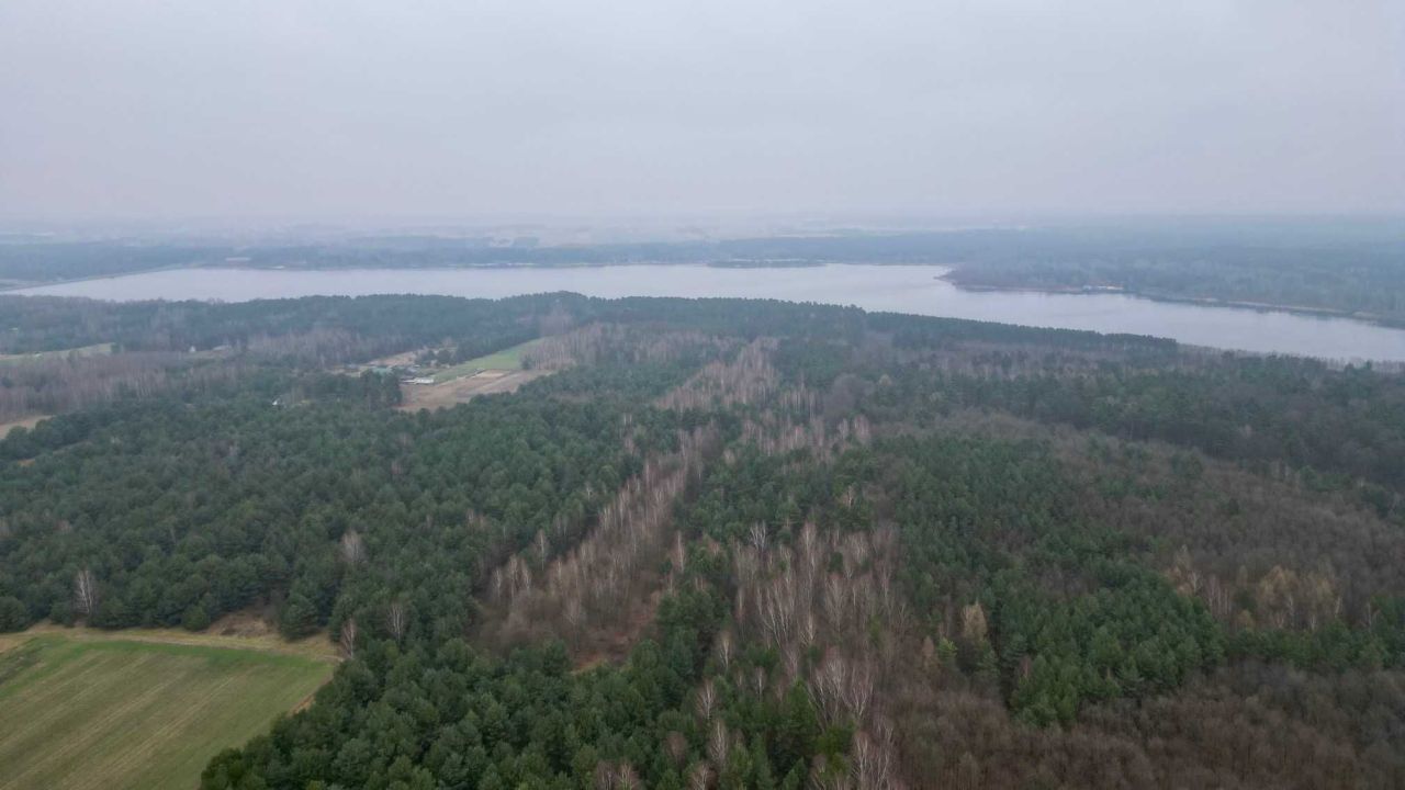 Działka rolna Daniszewice