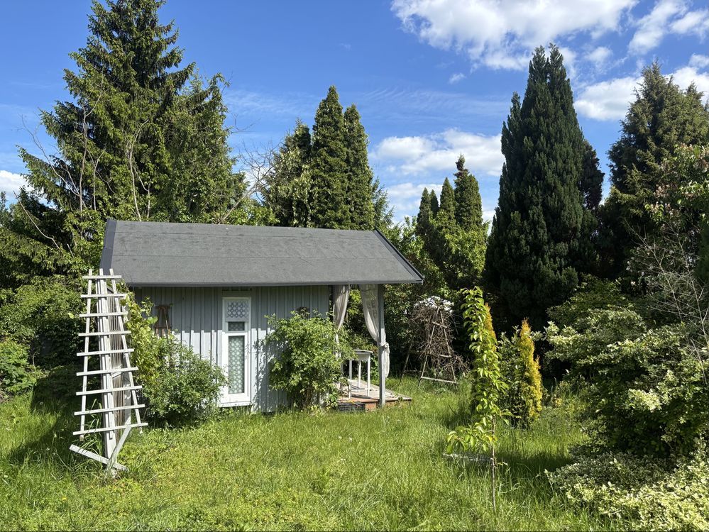 Działka rod Płock Winiary. Zdjęcie 1