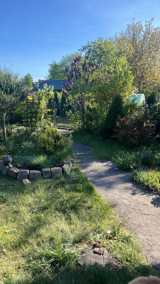 Działka rod Szczecin Pogodno, ul. Hieronima Derdowskiego. Zdjęcie 8