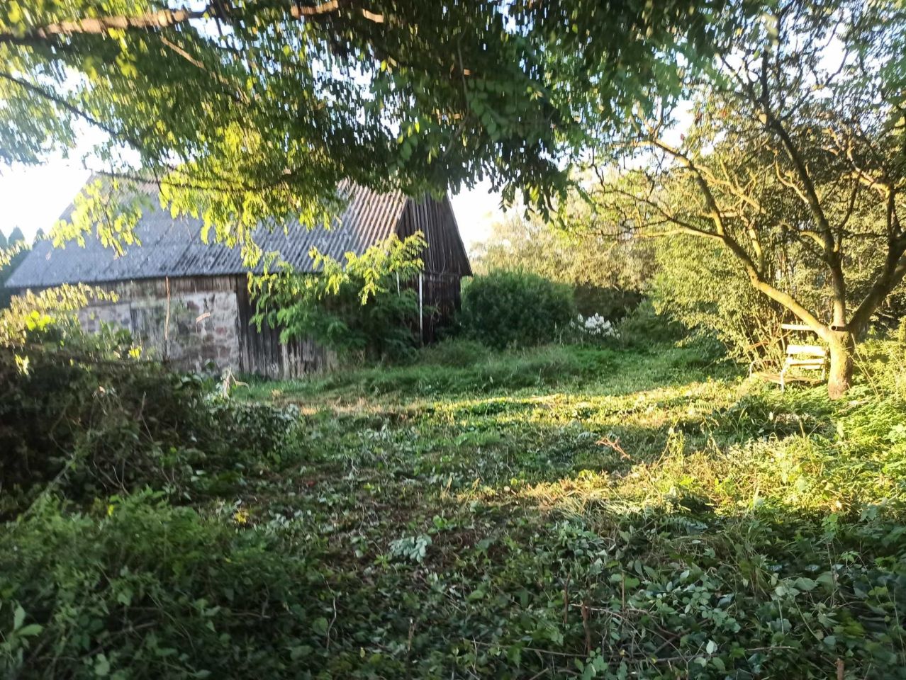 Działka rolno-budowlana Wronka. Zdjęcie 7