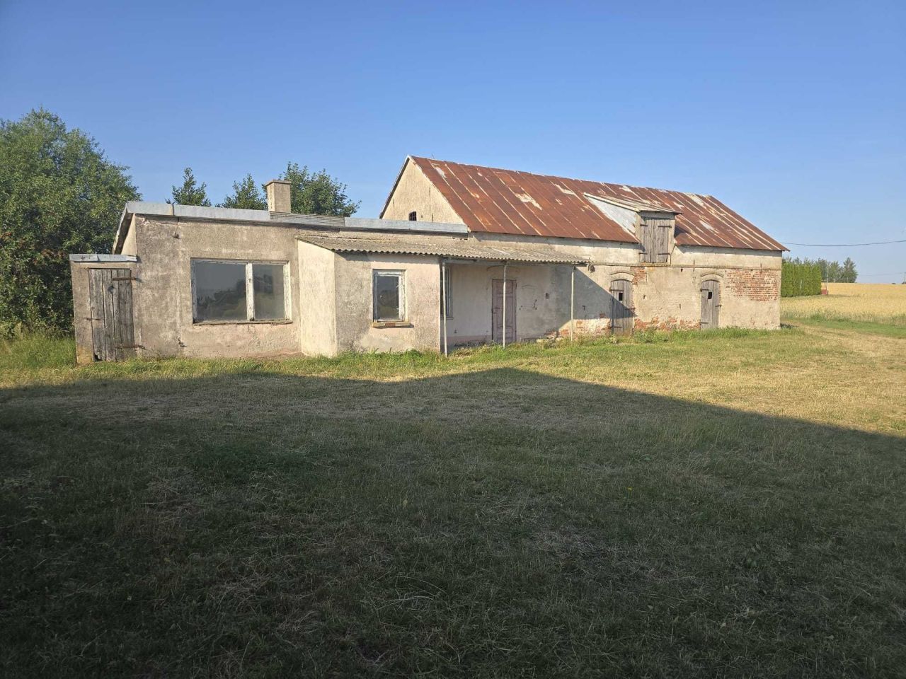 Działka siedliskowa Cielęta. Zdjęcie 5