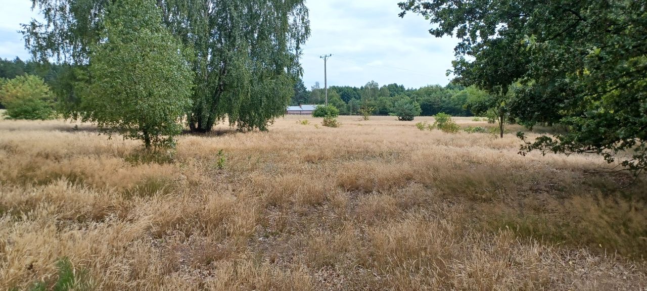 Działka budowlana Bujniczki-Kolonia Kopanina. Zdjęcie 12