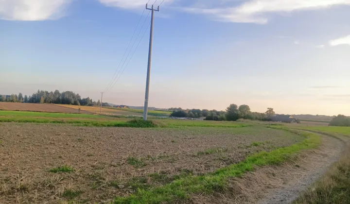 Działka rolna Harta Lipnik