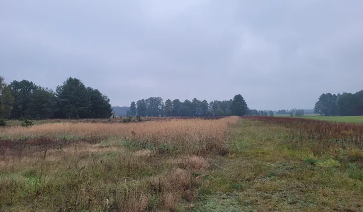 Działka budowlana Gnaty