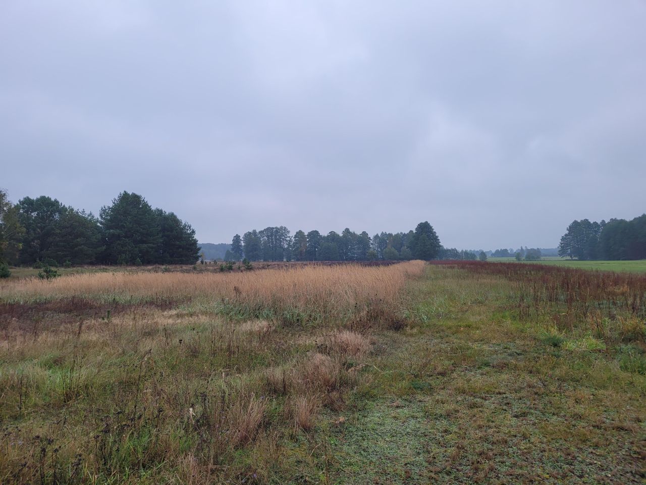 Działka budowlana Gnaty