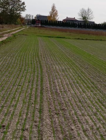 Działka rolno-budowlana Chajęty. Zdjęcie 1