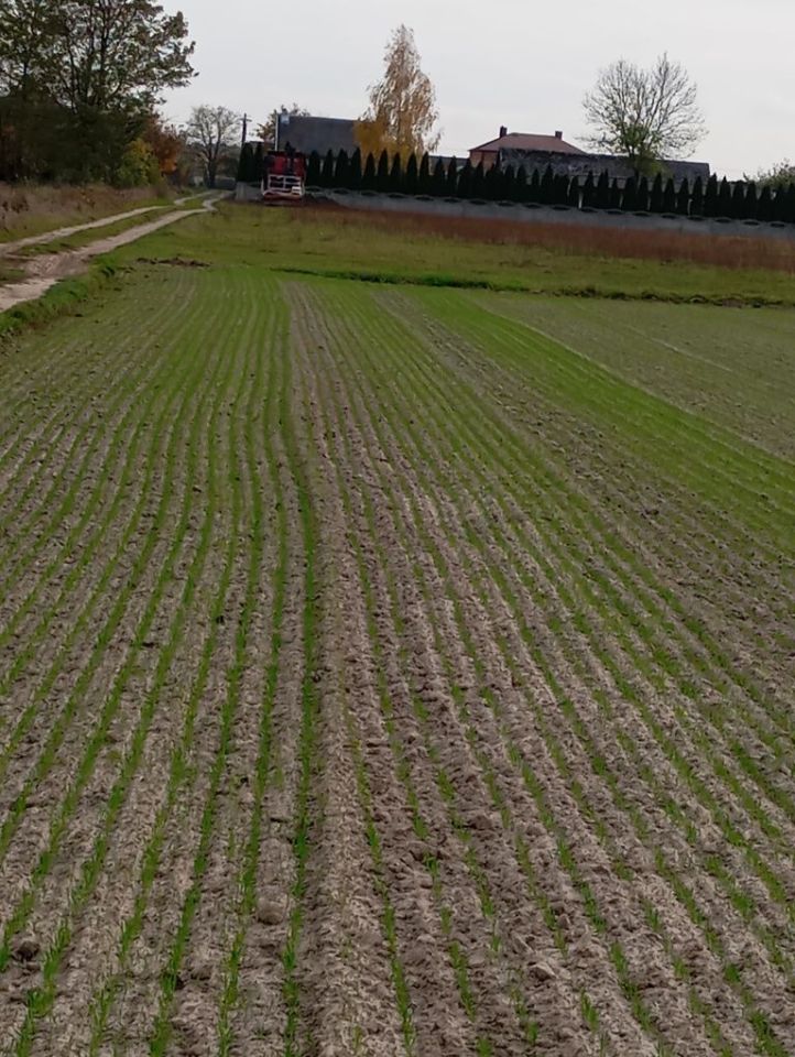 Działka rolno-budowlana Chajęty. Zdjęcie 1