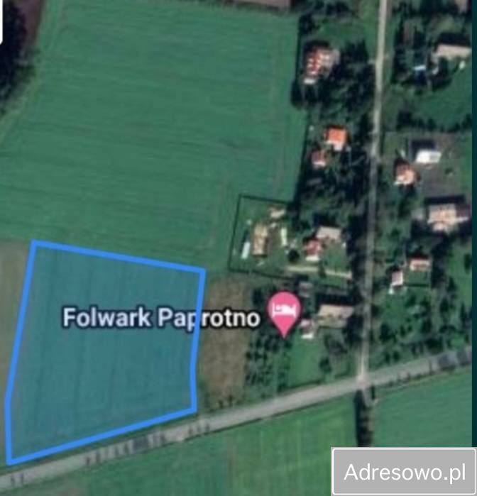 Działka rolna Paprotno. Zdjęcie 7