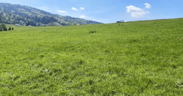 Działka inwestycyjna Bystra. Zdjęcie 8