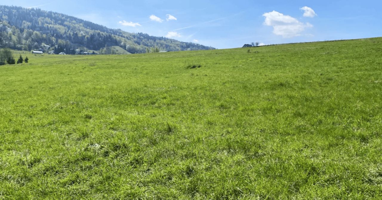Działka inwestycyjna Bystra. Zdjęcie 8