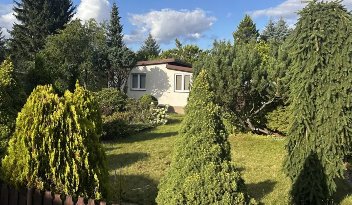 Działka rod Łódź Widzew, ul. Jana Kasprowicza