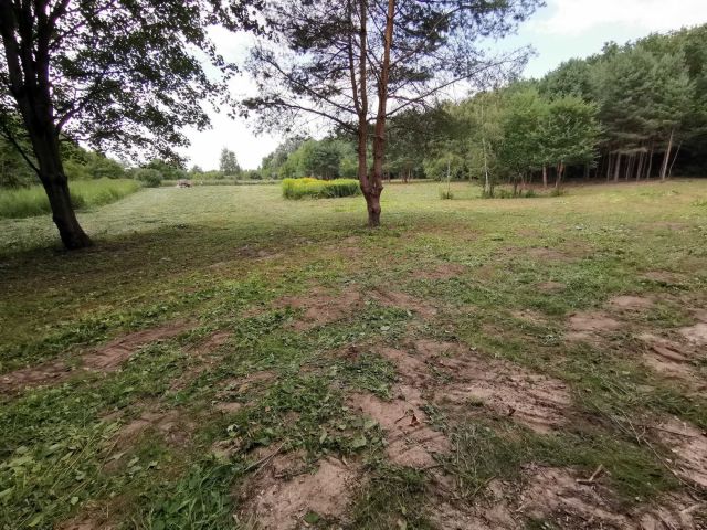 Działka rolno-budowlana Poznań Strzeszyn. Zdjęcie 1