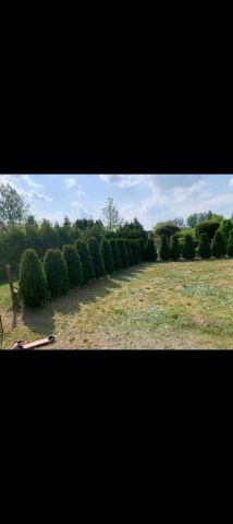 Działka rod Chełmica Duża. Zdjęcie 1