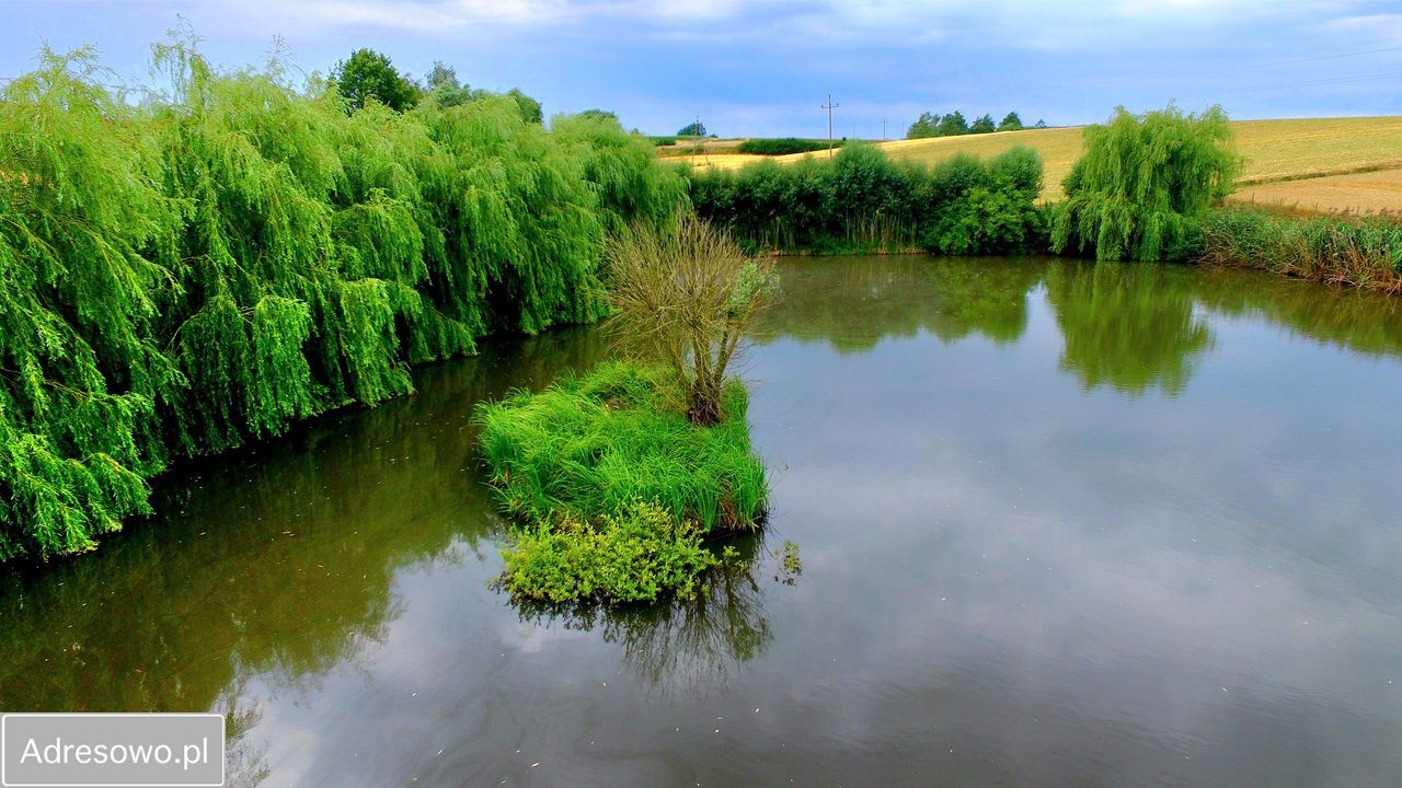 Działka rekreacyjna Rudaw. Zdjęcie 11