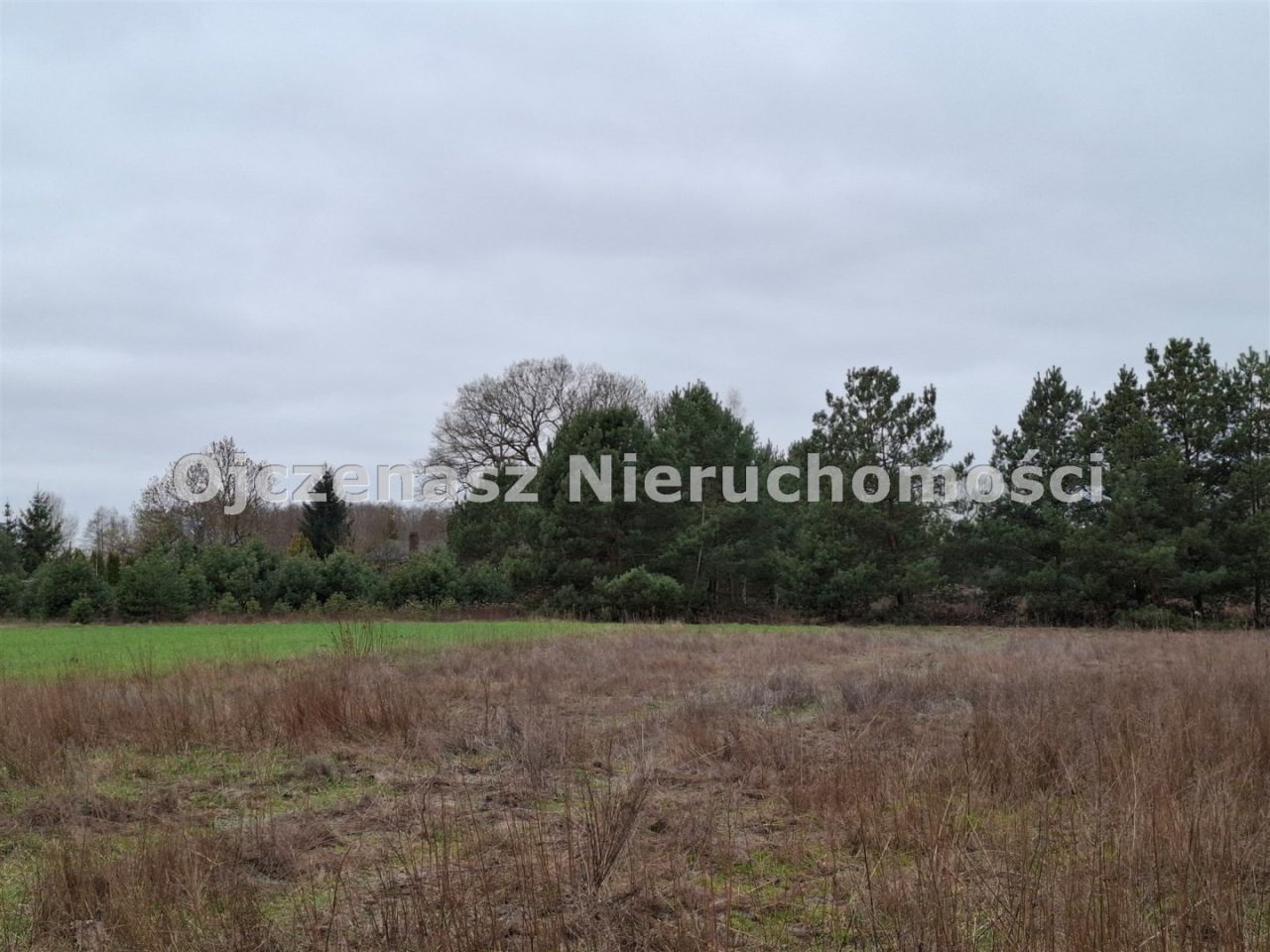 Działka budowlana Jarużyn
