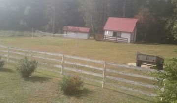 dom wolnostojący, 5 pokoi Pnie