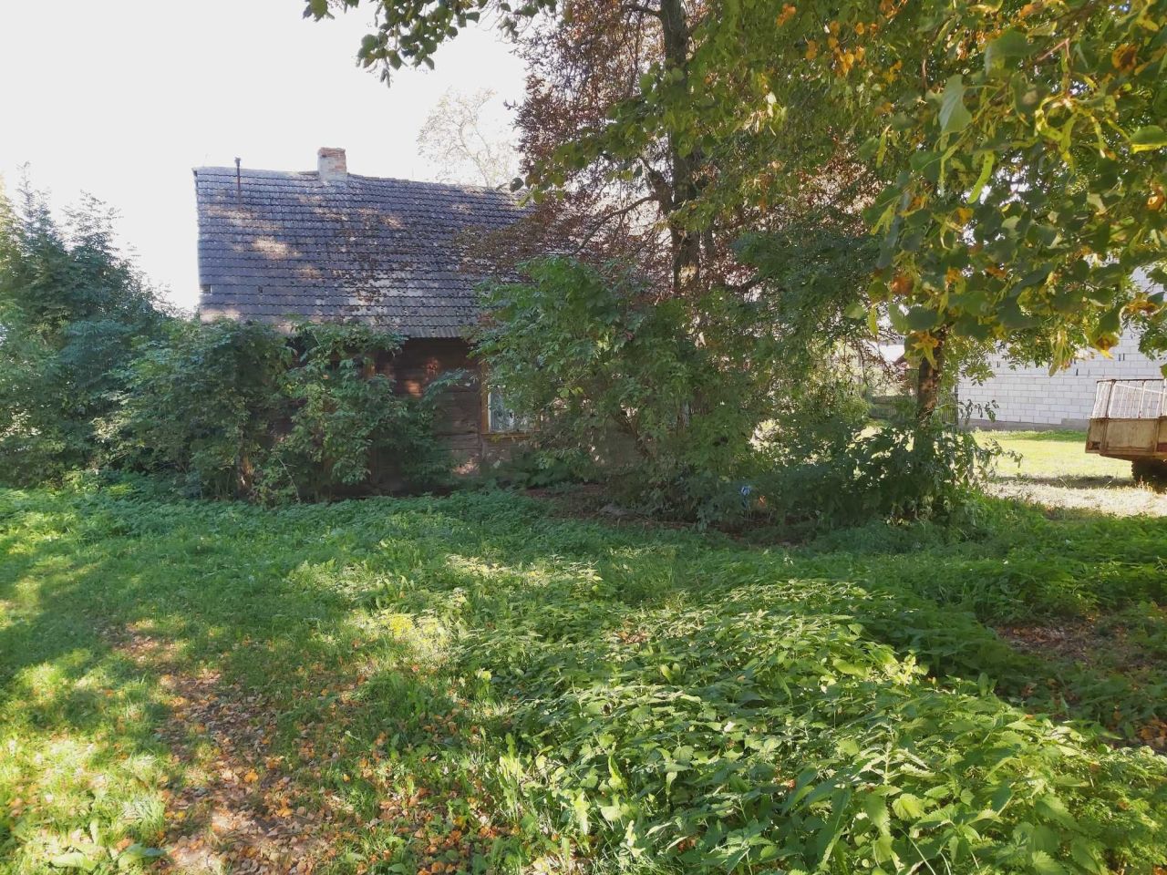 Działka siedliskowa Kosaki. Zdjęcie 4