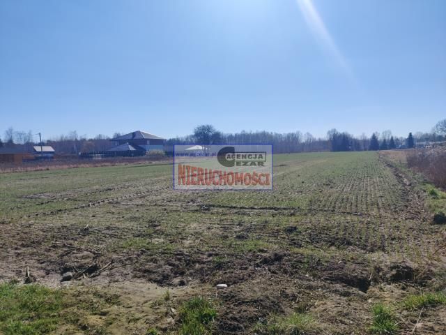 Działka budowlana Królewiec. Zdjęcie 5
