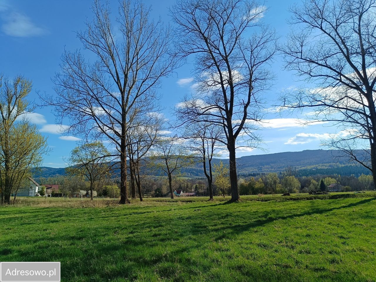Działka budowlana Starkówek. Zdjęcie 13