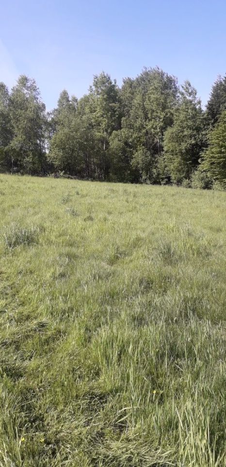 Działka rolno-budowlana Konieczkowa. Zdjęcie 4