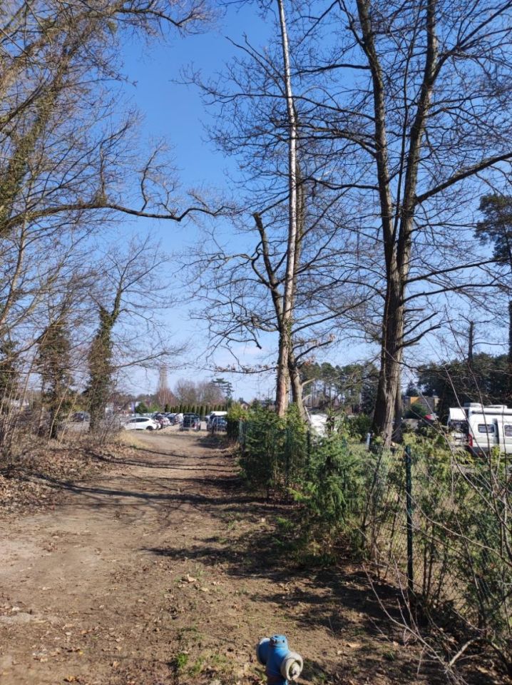 Działka budowlana Morzyczyn, ul. Wilgi. Zdjęcie 4