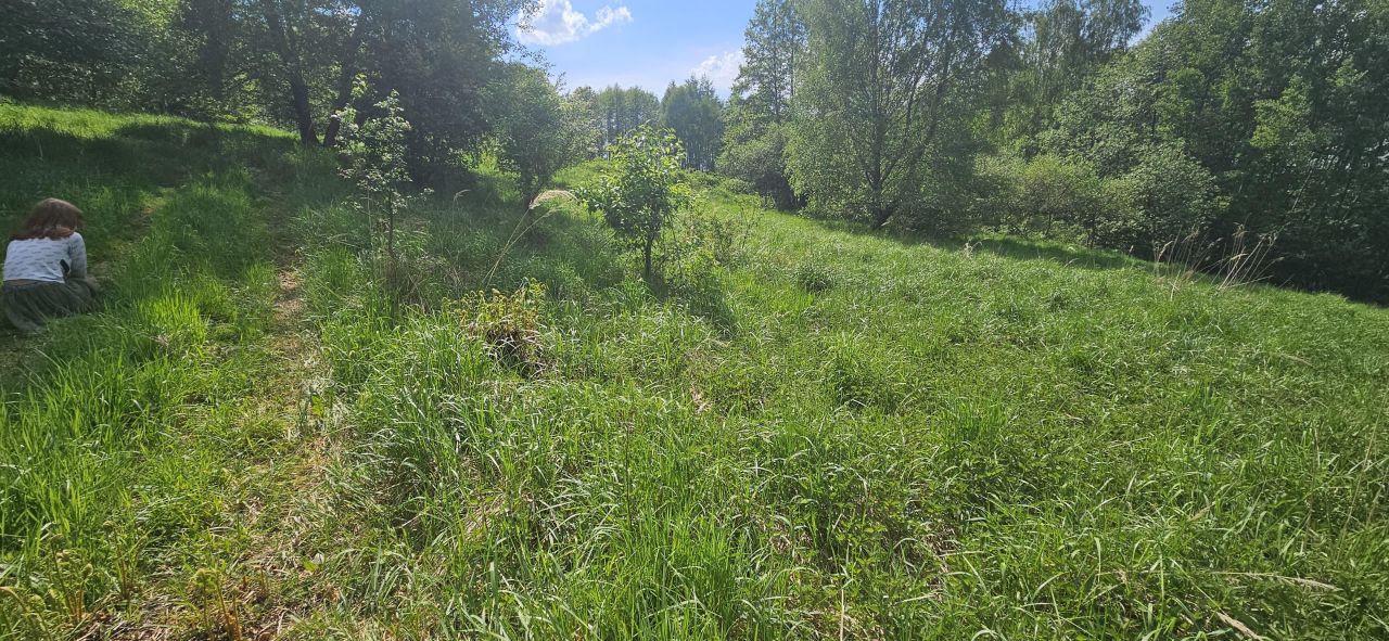 Działka rolna Psary Nowa Wieś, ul. Nowowiejska. Zdjęcie 5