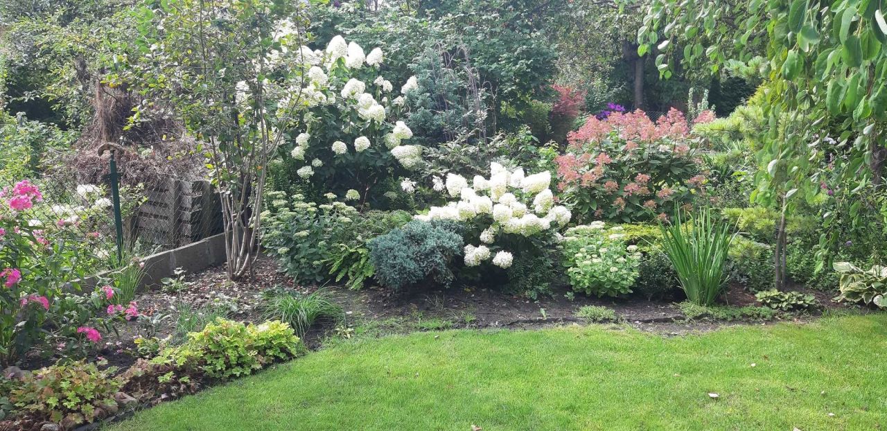 Działka rod Łódź Górna, ul. Pustynna. Zdjęcie 6