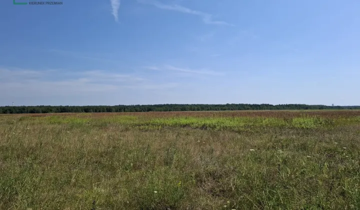 Działka inna Gierałtowice