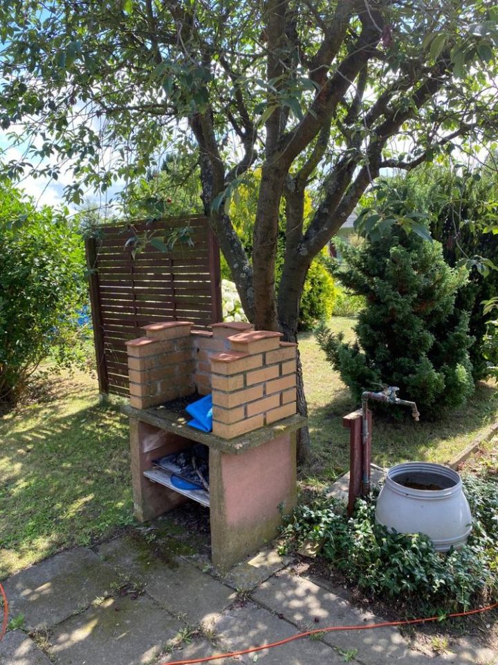 Działka rod Tczew. Zdjęcie 6