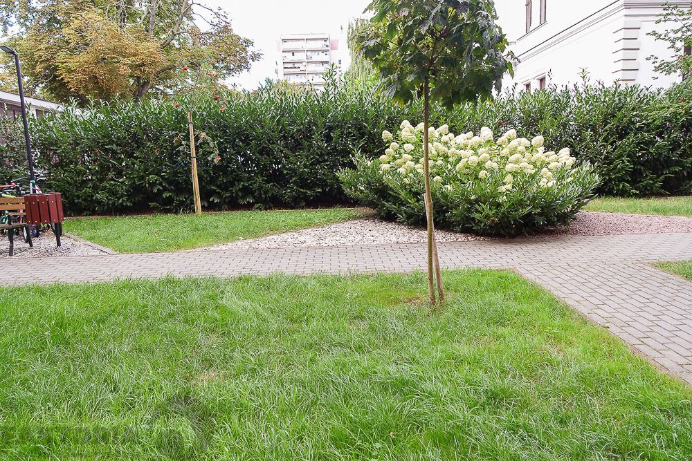 Mieszkanie 2-pokojowe Szczecin, al. Wyzwolenia. Zdjęcie 22