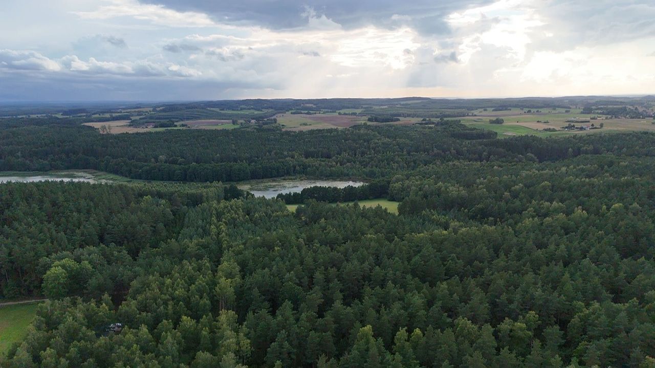Działka budowlana Kłębowo. Zdjęcie 6