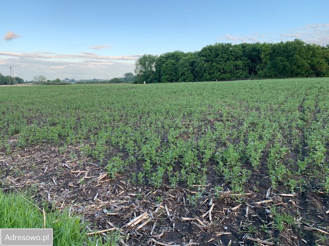 Działka budowlana Mielno. Zdjęcie 18