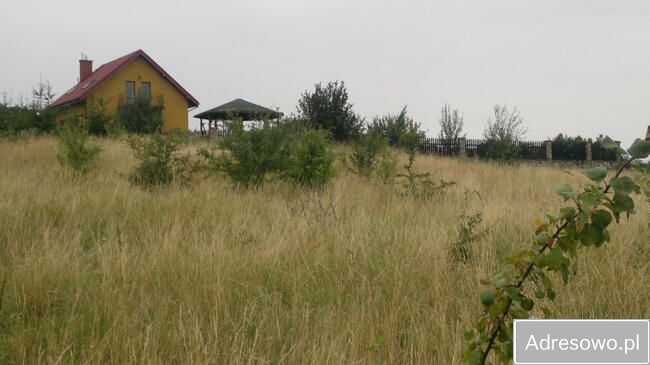 Działka rolna Jemiołowo. Zdjęcie 2
