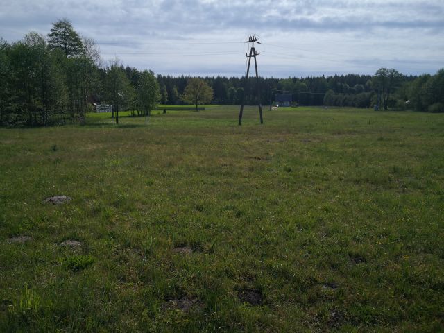 Działka rolno-budowlana Kosmaty Borek. Zdjęcie 3