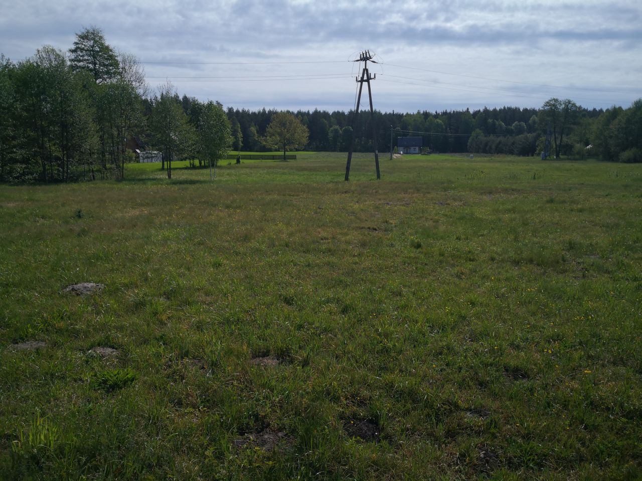 Działka rolno-budowlana Kosmaty Borek. Zdjęcie 3