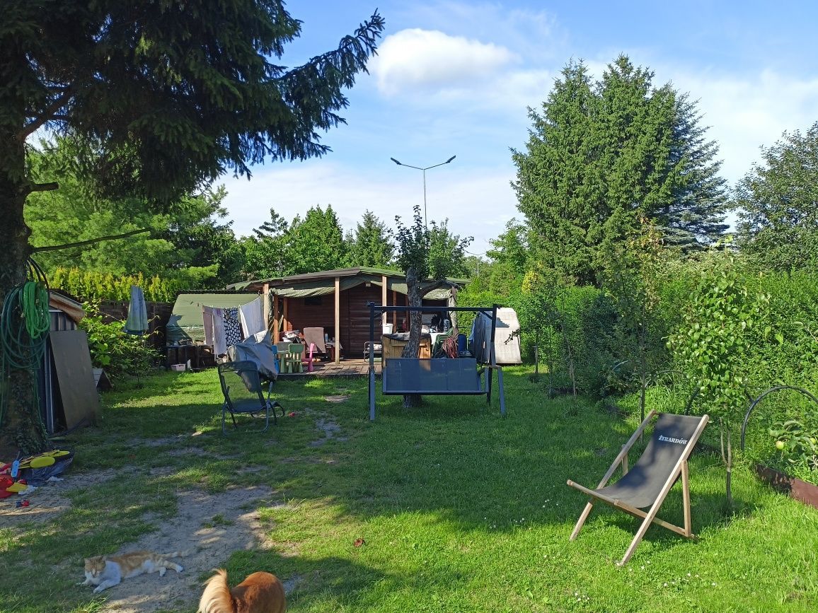 Działka rod Żyrardów, ul. Adama Mickiewicza