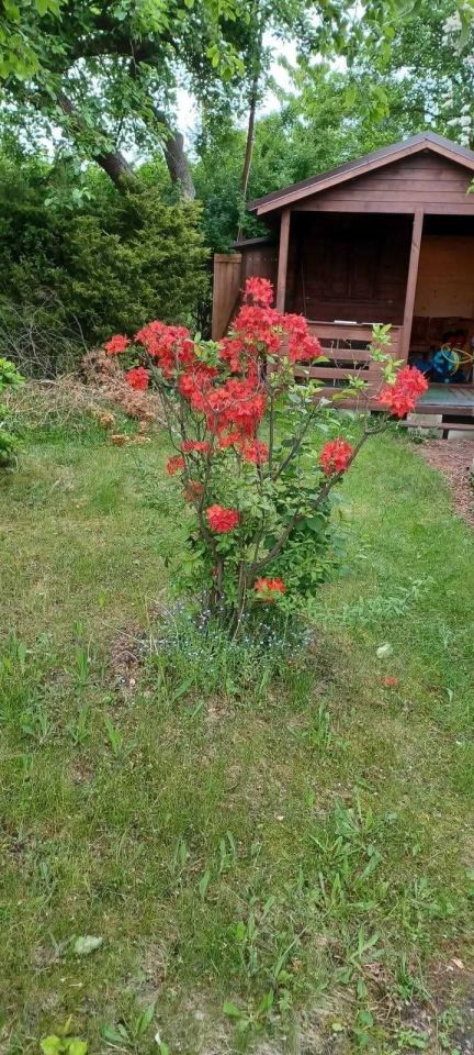 Działka rod Szczecin Pogodno. Zdjęcie 2