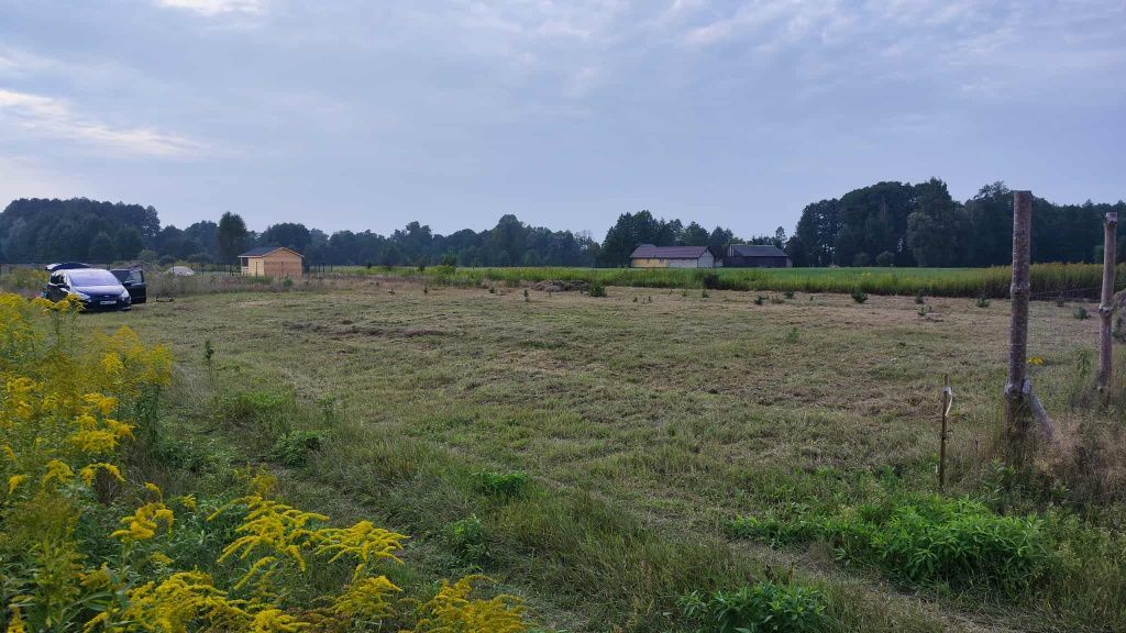Działka budowlana Jadwisin. Zdjęcie 2