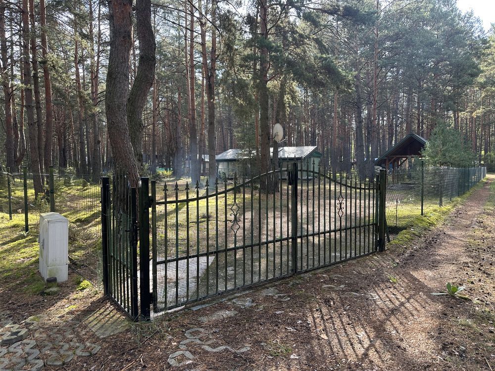 Działka Fryszerka. Zdjęcie 2