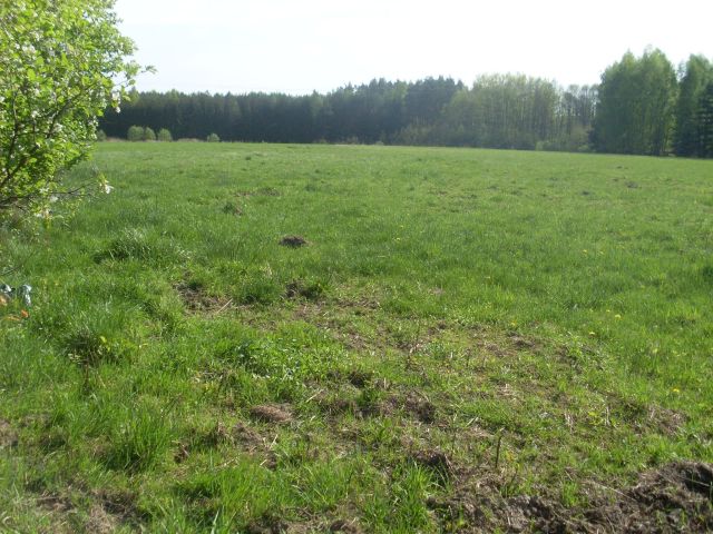 Działka budowlana Gurba, ul. Główna. Zdjęcie 1