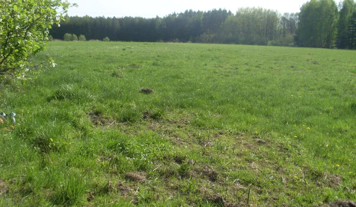Działka budowlana Gurba, ul. Główna