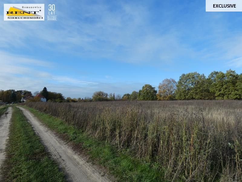 Działka siedliskowa Danowo. Zdjęcie 10