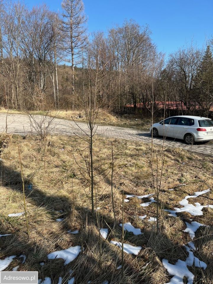 Działka budowlana Świeradów-Zdrój, ul. H. Sienkiewicza. Zdjęcie 5