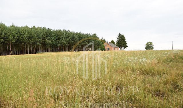 Działka siedliskowa Górka. Zdjęcie 8