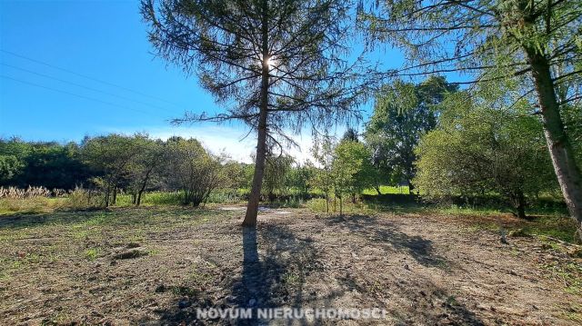 Działka rolno-budowlana Szałsza. Zdjęcie 3